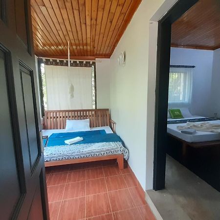Walk With Us Africa Bed and Breakfast Moshi Exteriör bild