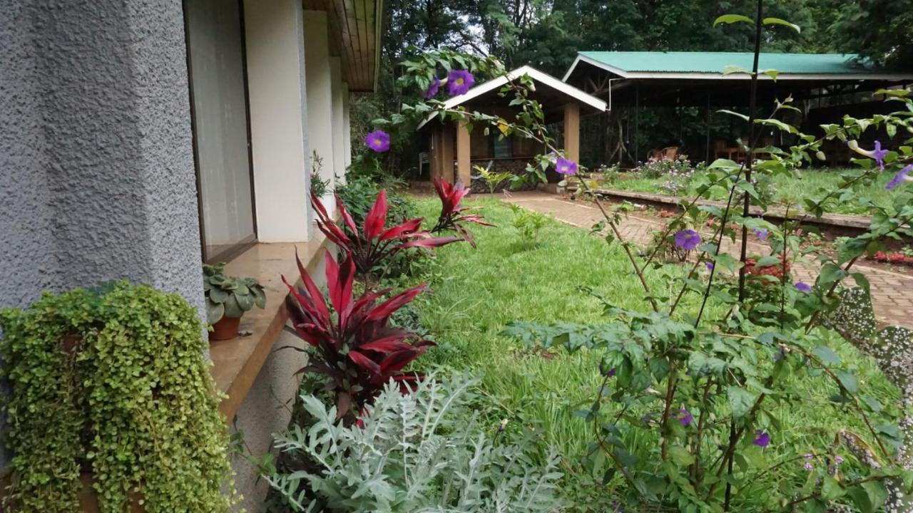 Walk With Us Africa Bed and Breakfast Moshi Exteriör bild