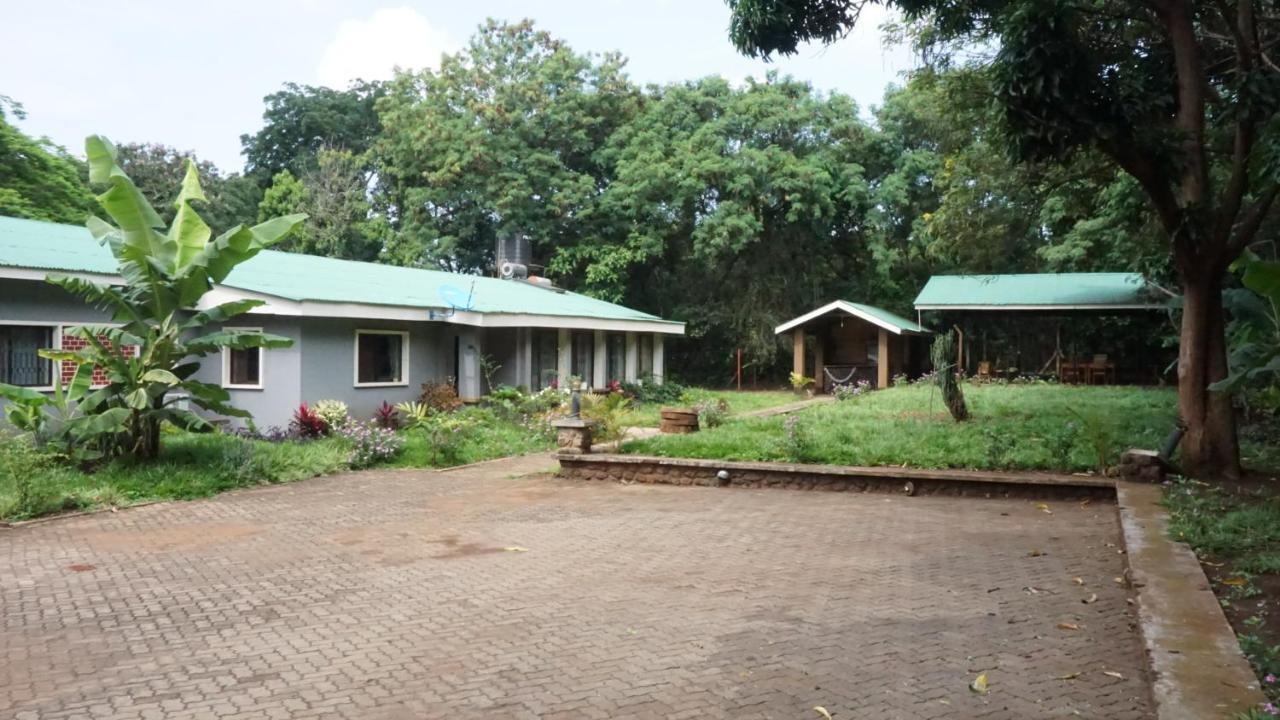 Walk With Us Africa Bed and Breakfast Moshi Exteriör bild