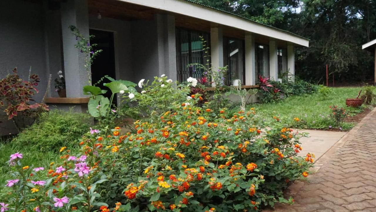 Walk With Us Africa Bed and Breakfast Moshi Exteriör bild